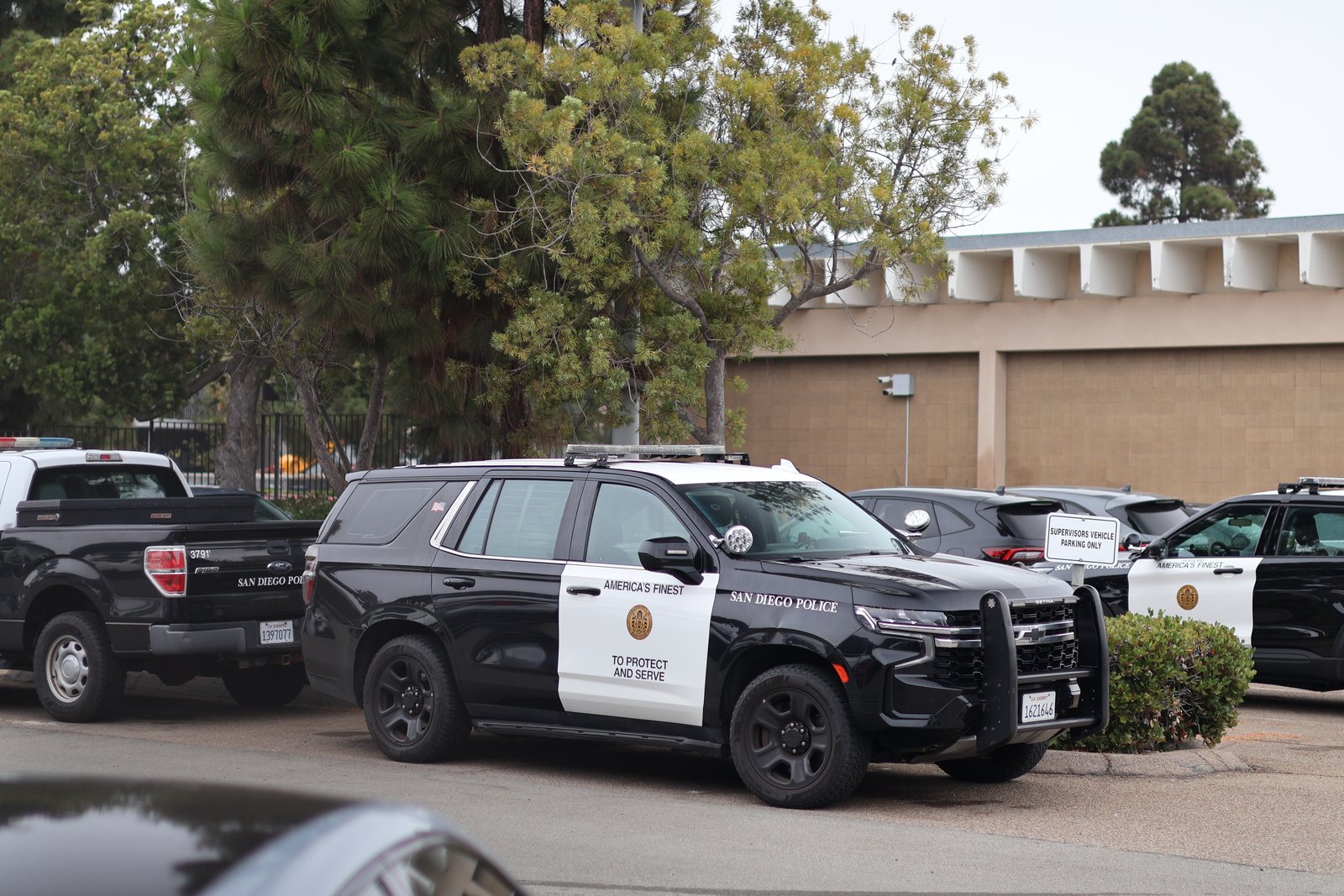 sdpd