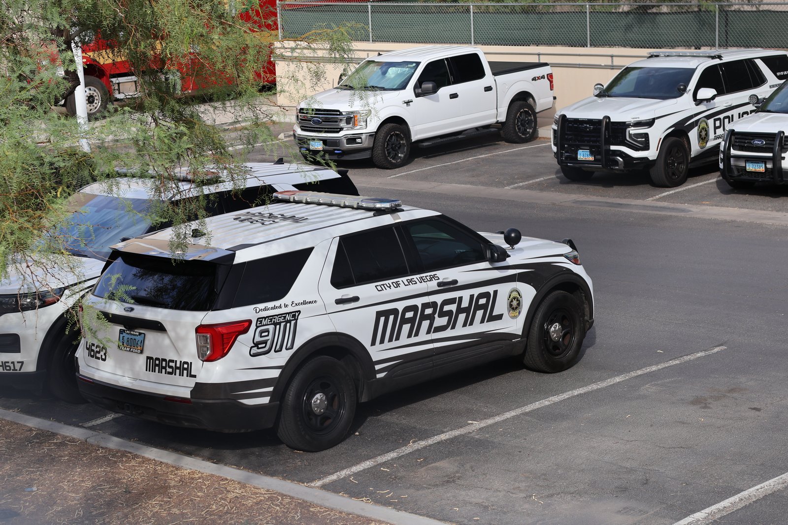 lv-dps
