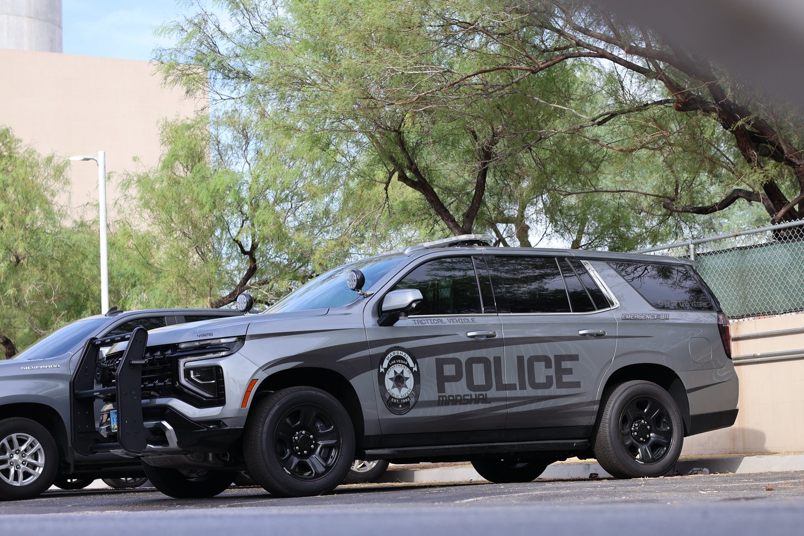 lv-dps2