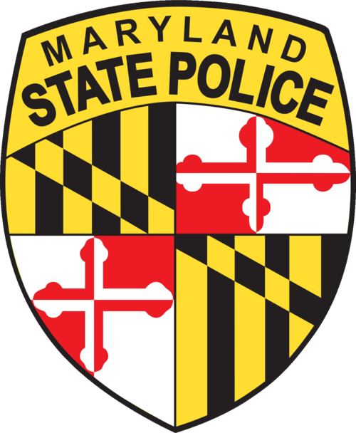 MSP logo
