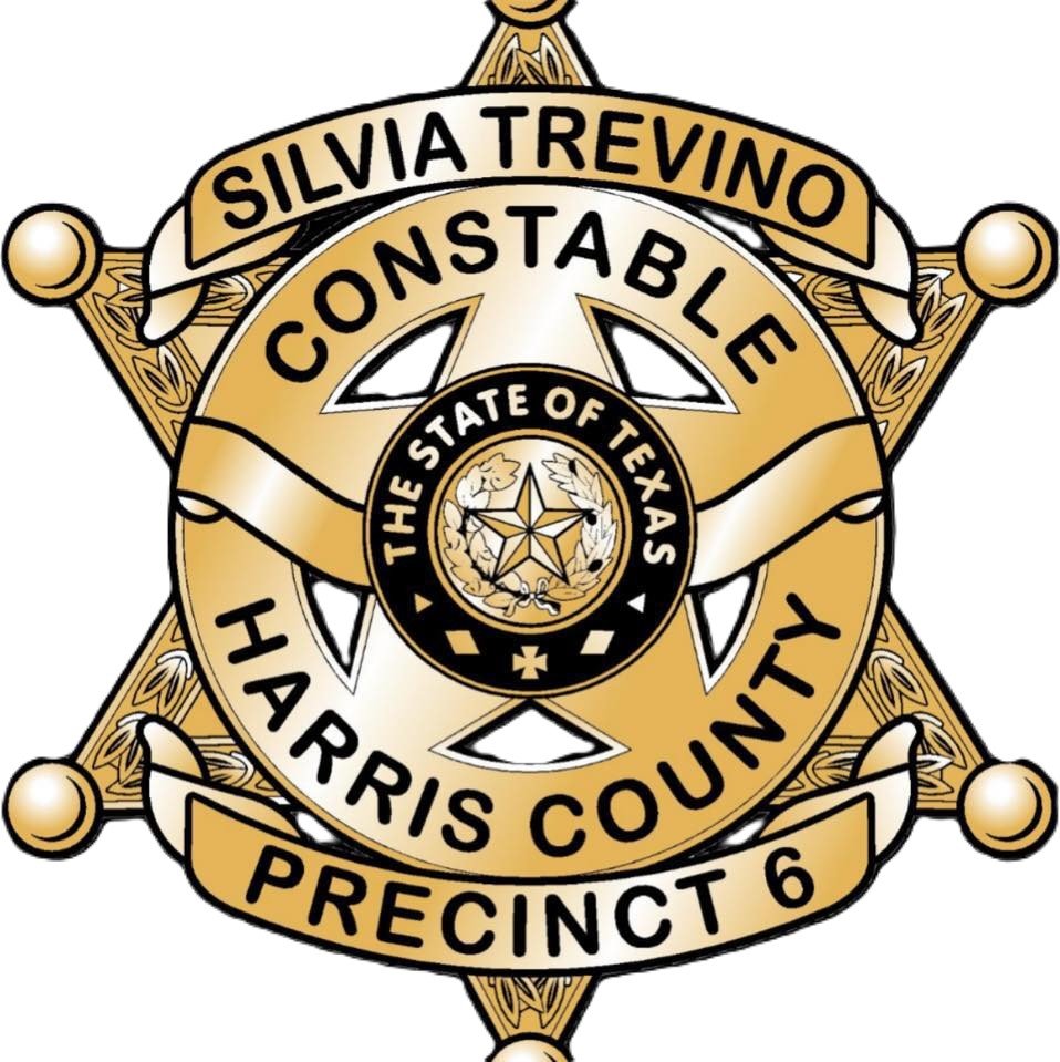 HC Pct6 logo