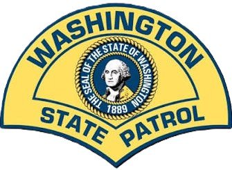 WSP logo